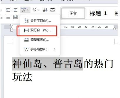 ​wps怎么设置双行标题？​wps设置双行标题的方法(图2)